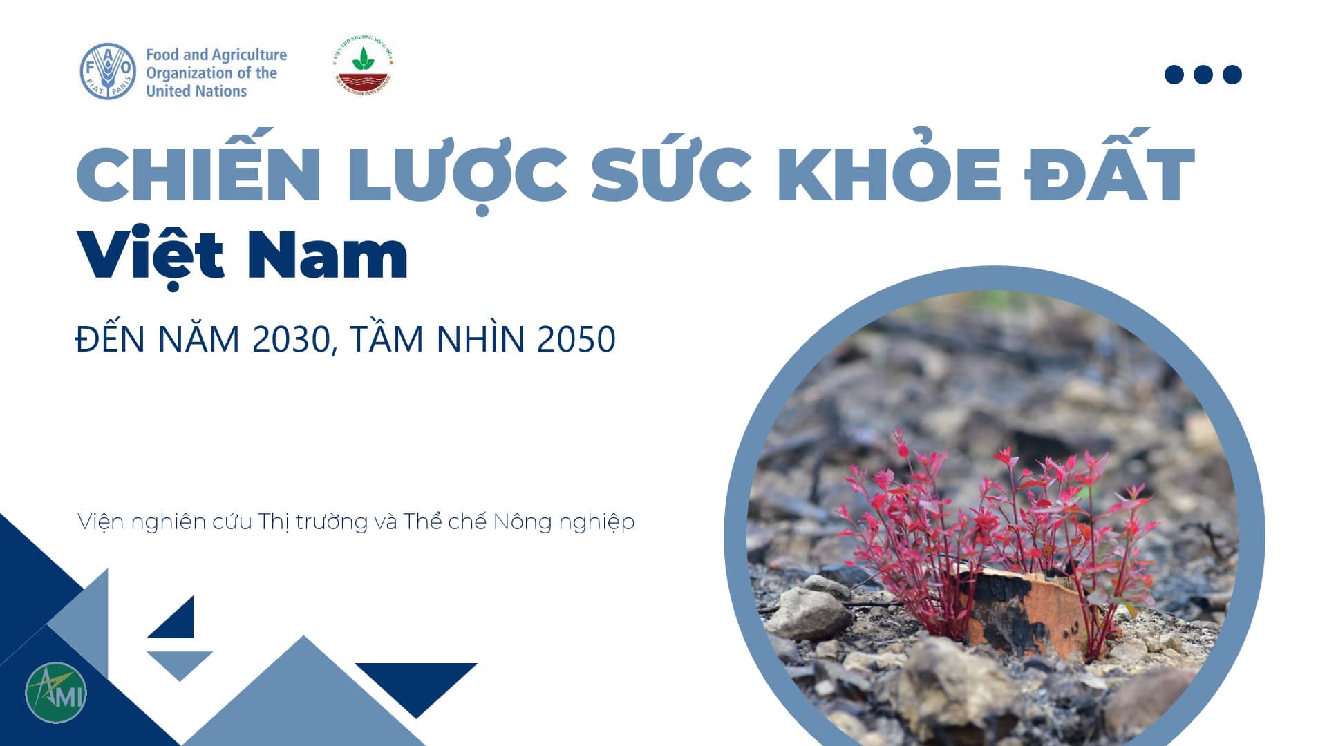 Chiến lược Sức khỏe đất