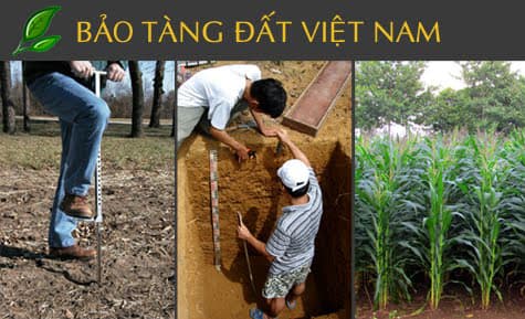 https://www.baotangdat.com.vn/