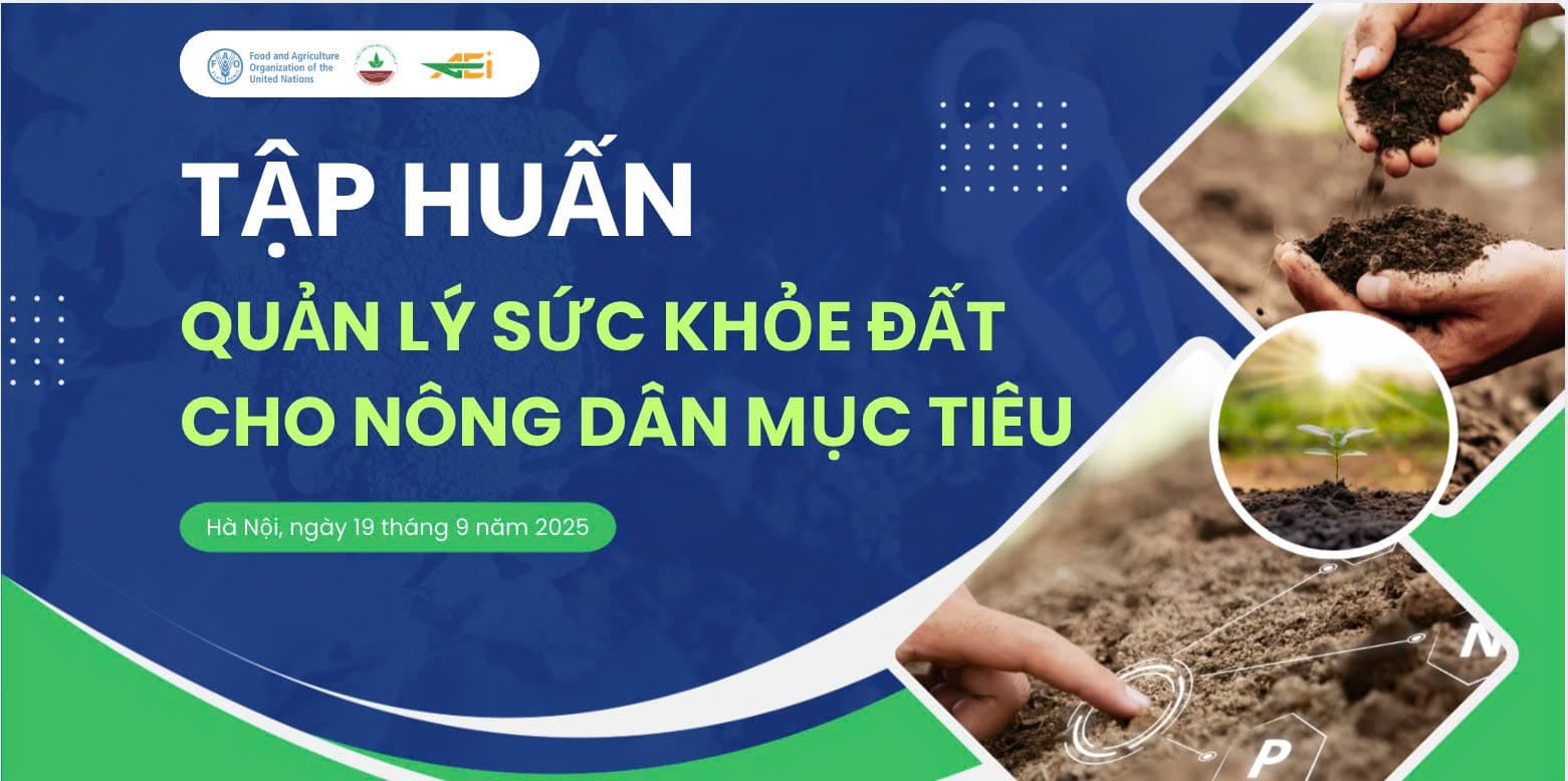 Tập huấn về quản lý sức khỏe đất cho nông dân mục tiêu tại Hà Nội
