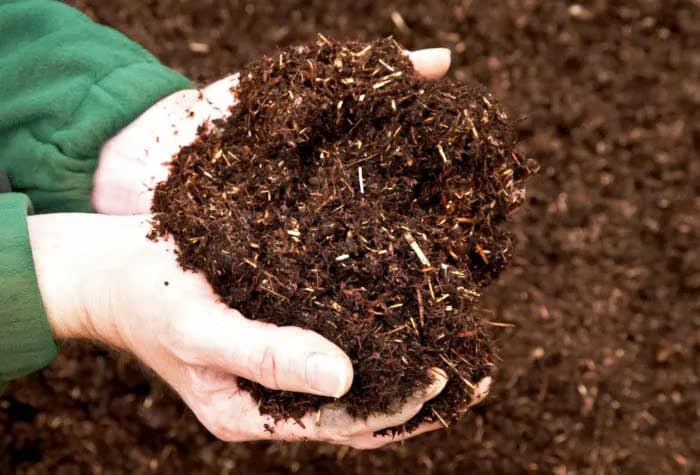 Câu hỏi – đáp về phân bón hữu cơ